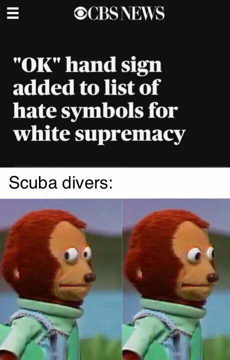20 Scuba Memes to Dive Into on International Scuba Day 9 Ok hand sign - Scuba Memes