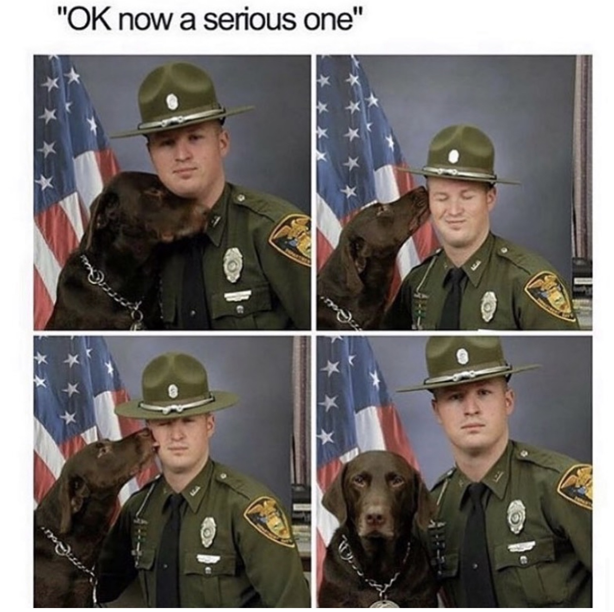 35 Dog Memes That Will Make You Laugh And Reduce Stress 9 Ok now serious one - dog memes