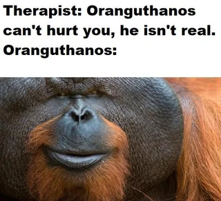 15 Orangutan Memes to Celebrate World Orangutan Day! 14 Oranguthanos cant hiurt you