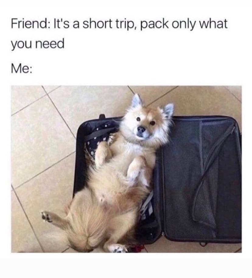 35 Dog Memes That Will Make You Laugh And Reduce Stress 11 Pack only what you need - dog memes