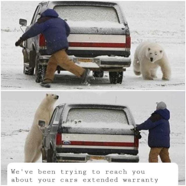 20 Car Extended Warranty Memes That'll Drive You Crazy 12 Polar bear chasing - Car Extended Warranty Memes