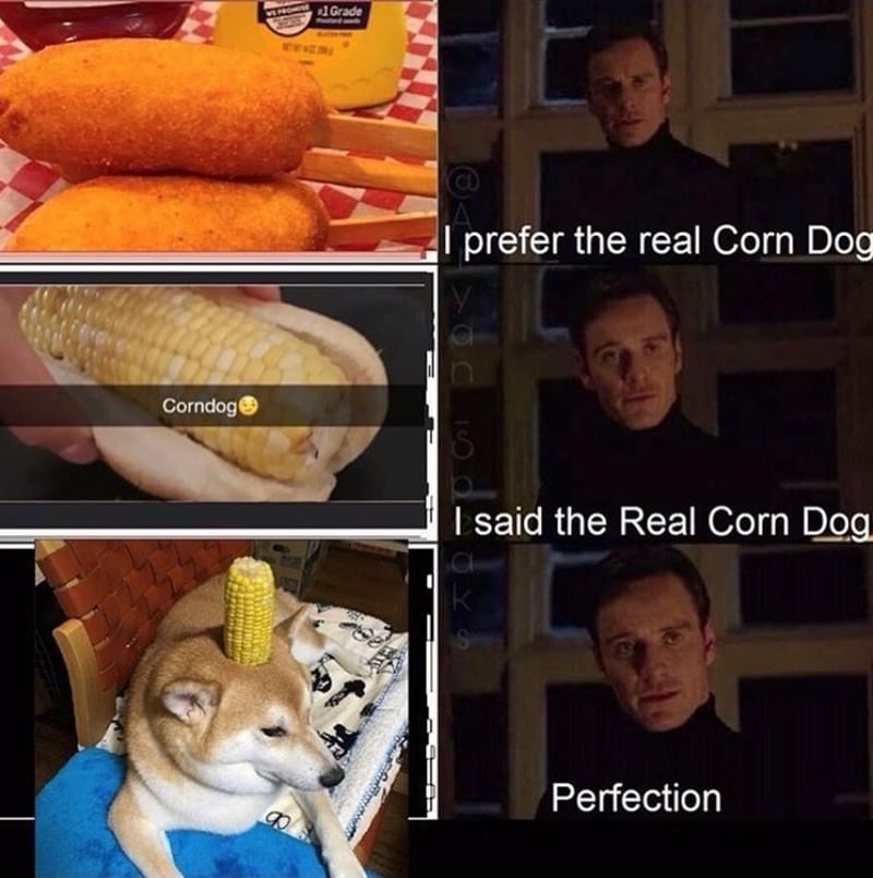 15 Memes That Are Like Chocolate for Your Funny Bone 9 Real corn dog