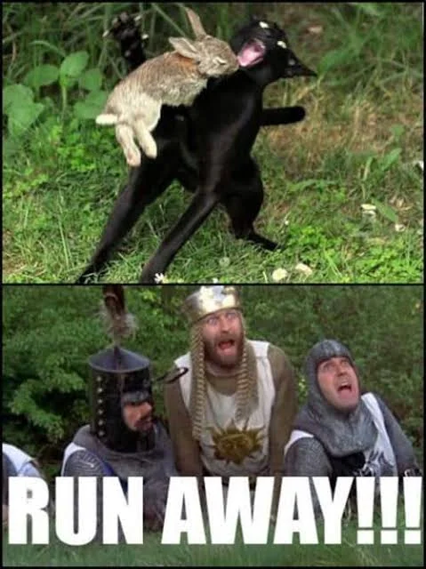 37 Best Monty Python Memes That Will Make You Say "A Blessing From The Lord" 4 Runaway - monty python memes