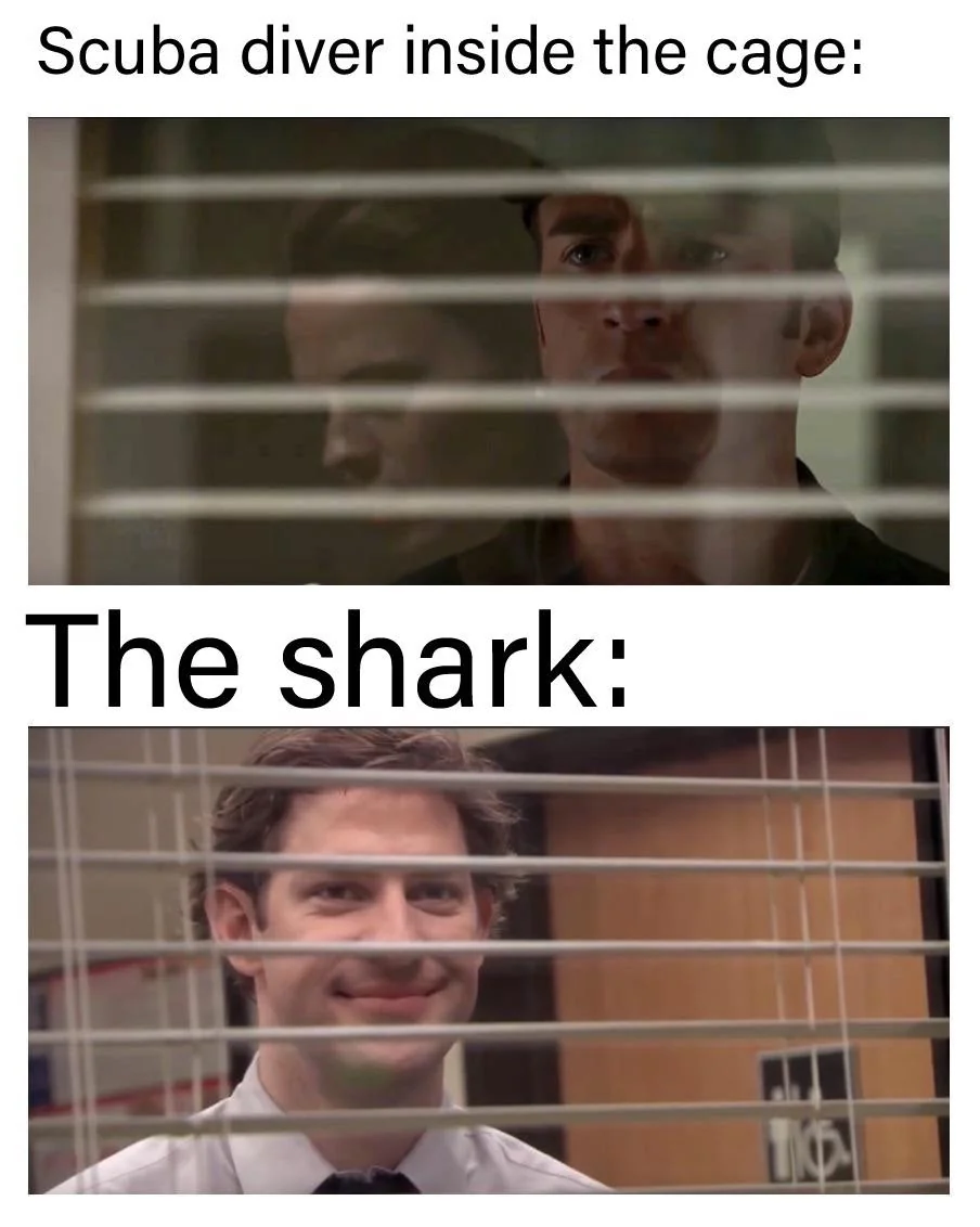 20 Scuba Memes to Dive Into on International Scuba Day 11 Scuba diver inside the cage - Scuba Memes