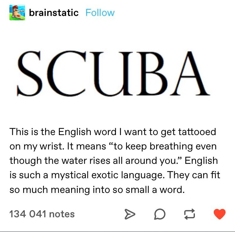 20 Scuba Memes to Dive Into on International Scuba Day 14 Scuba meaning - Scuba Memes