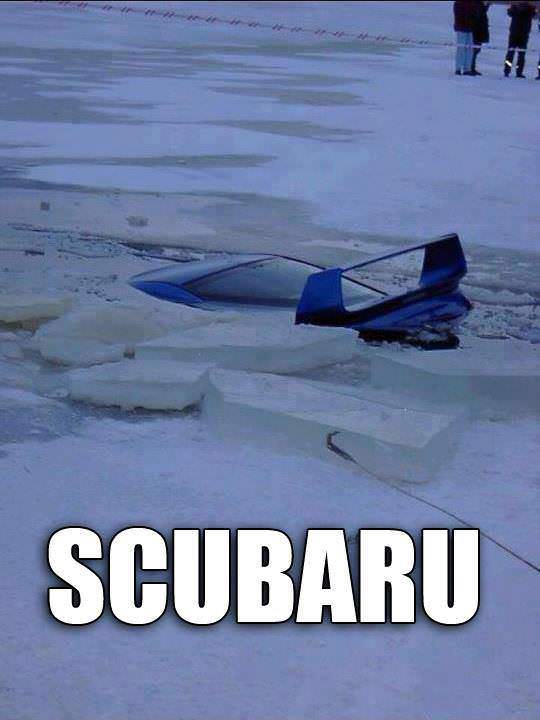 20 Scuba Memes to Dive Into on International Scuba Day 15 Scubaru - Scuba Memes