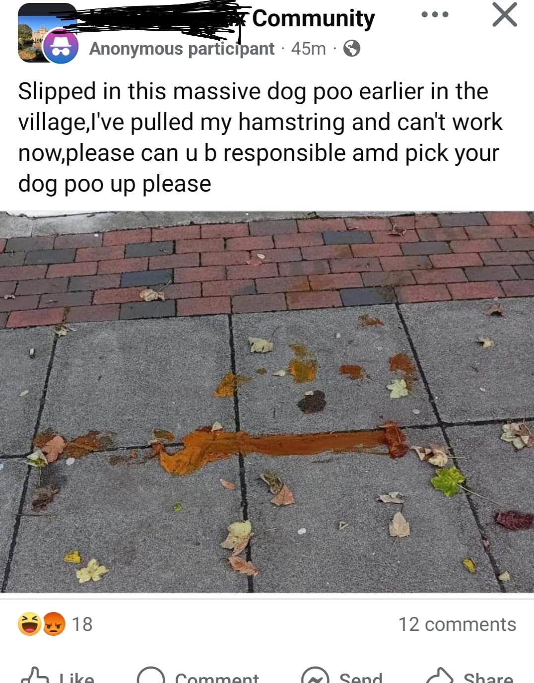 25 Hilarious Angry Rants That Surpassed Their Rage with Pure Comedy 25 Slipped on massive dog poop