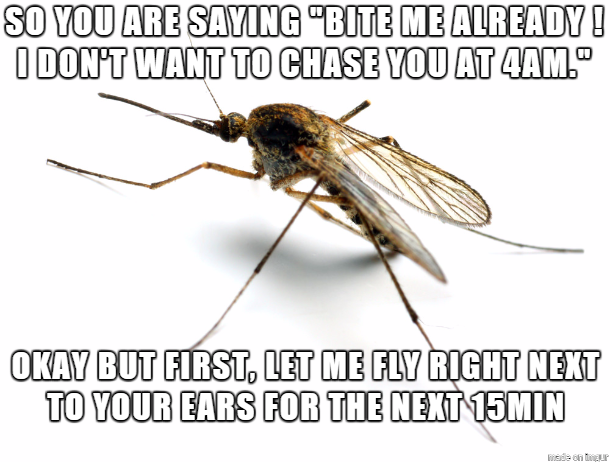 30 Mosquito Memes That Will Have You Itching with Laughter on World Mosquito Day 15 So youre saying - Mosquito Memes