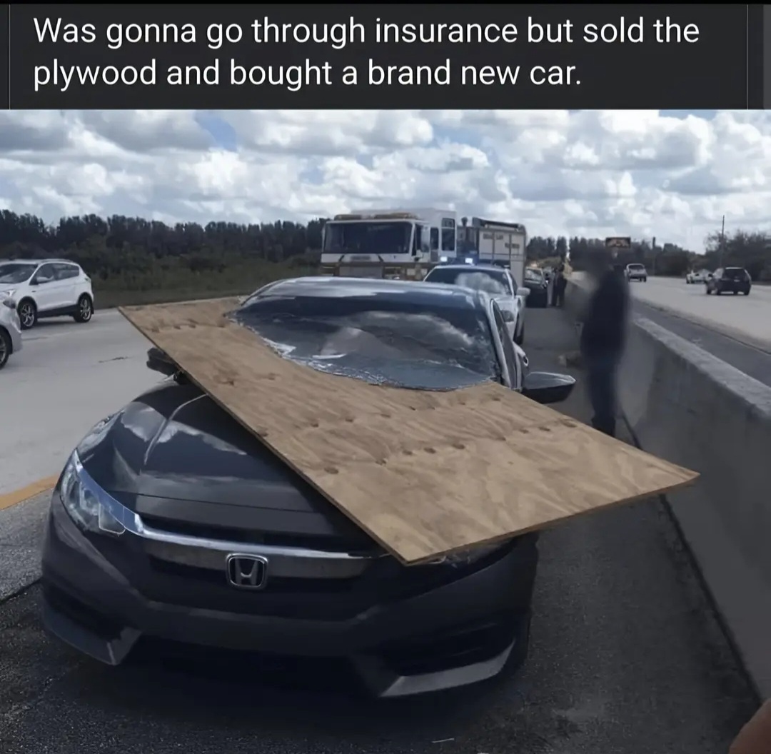 20 Memes That Will Help You Pretend You’re Working Hard 12 Sold the plywood