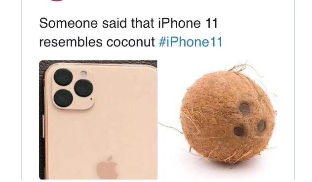 15 Coconut Memes to Crack You Up This World Coconut Day 11 Someone said - Coconut Memes
