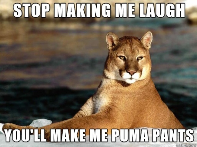 32 Corny Memes That You Cant Help But Laugh At 19 stop making me laugh