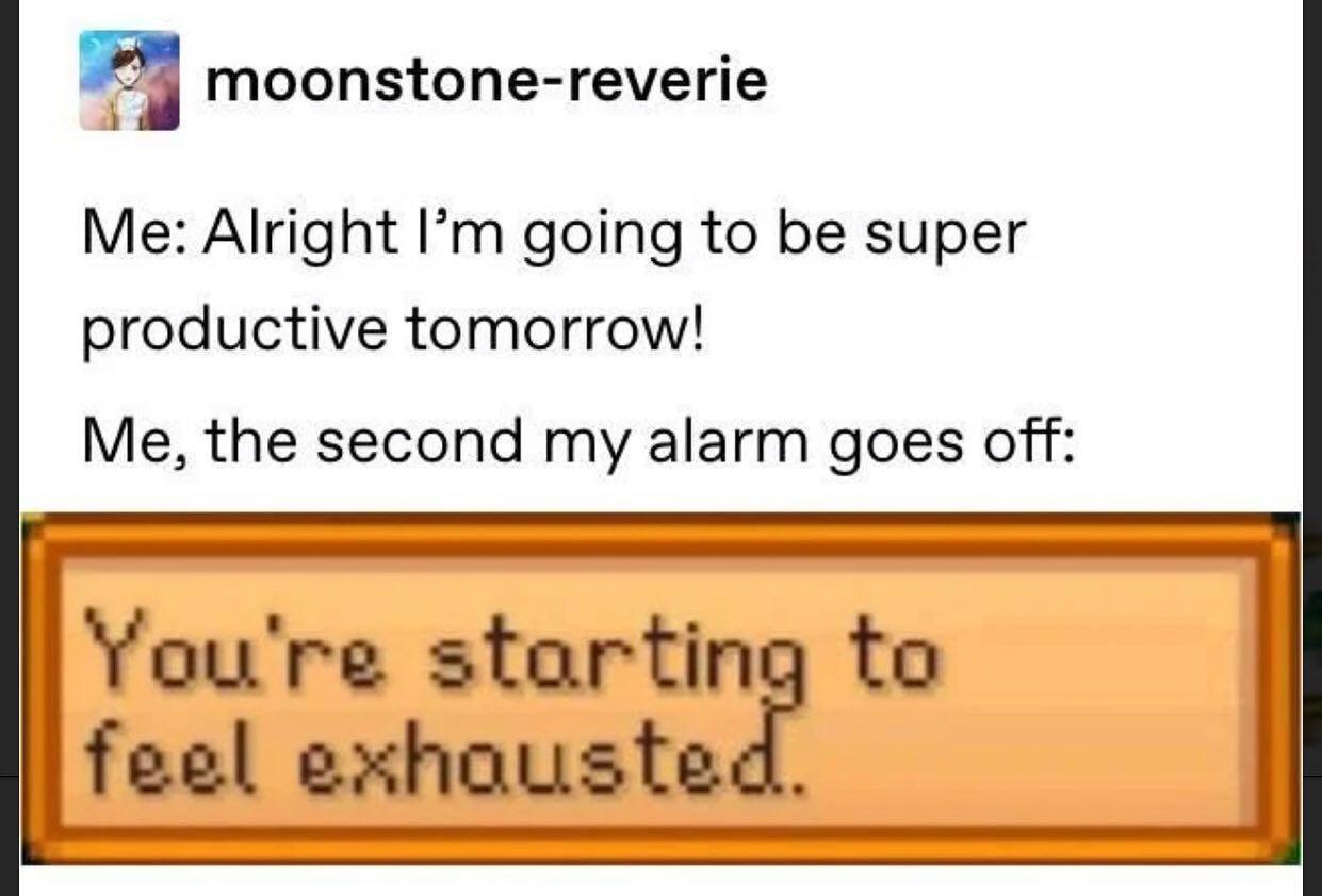 25 Memes That Might Be the Humor You Crave 15 Super productive tomoroow