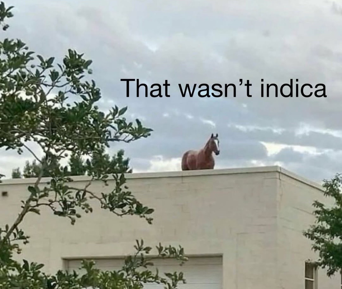 25 Memes That Are the Holy Grail of Humor 25 That wasnt indica