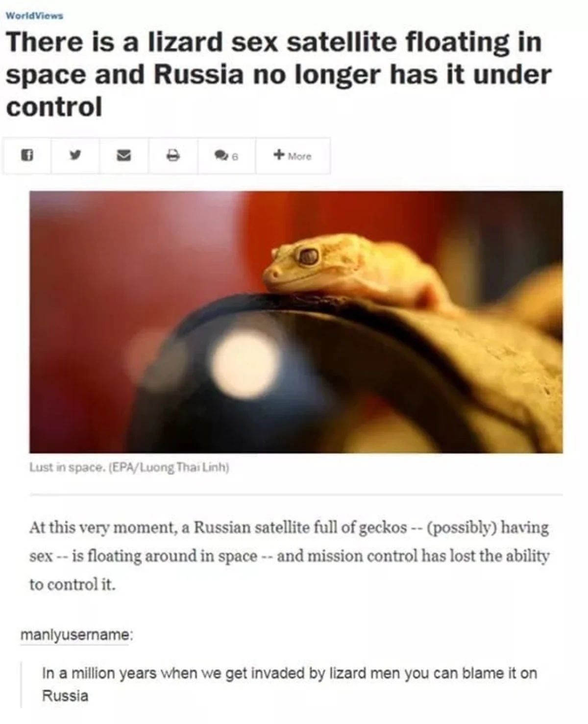 25 Lizard Memes to Honor World Lizard Day 16 There is a lizard - Lizard Memes