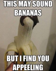 32 Corny Memes That You Cant Help But Laugh At 21 this may sound bananas - corny memes