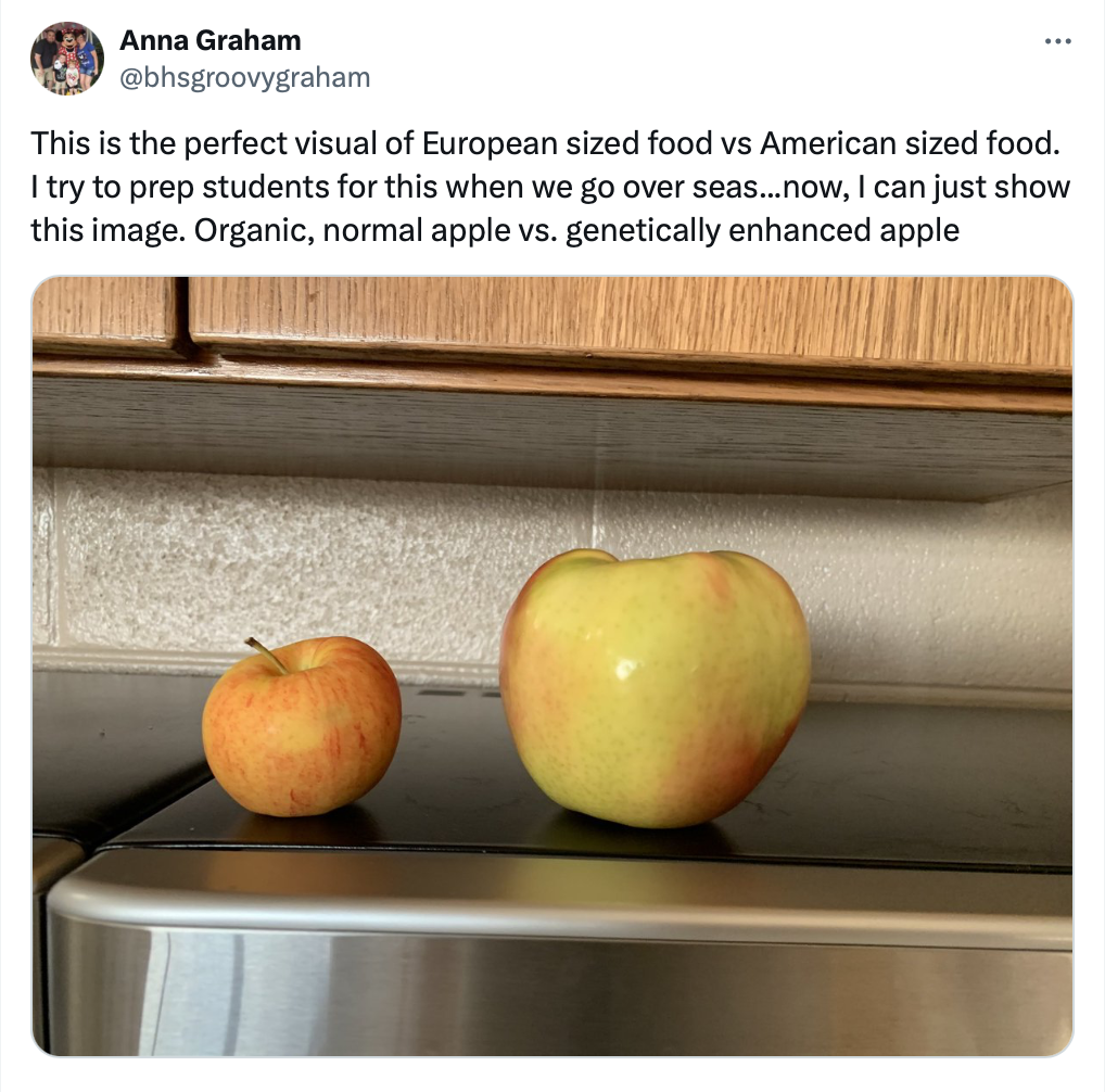 20 US vs Europe Tweets That Highlight the Funniest Differences 19 This is the perfect visual of European sized food vs American sized food. - US vs Europe Tweets