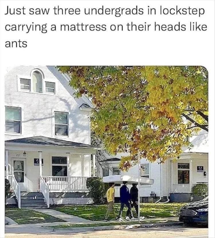 25 Memes That Will Never Disappoint 16 Three undergrads