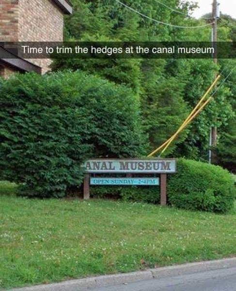 20 Memes That Mix Dark Humor with a Touch of Dirt 7 Time to trim