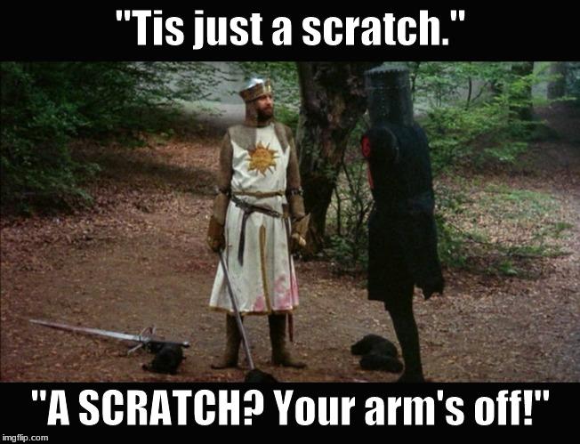 37 Best Monty Python Memes That Will Make You Say "A Blessing From The Lord" 17 Tis just a scratch - monty python memes