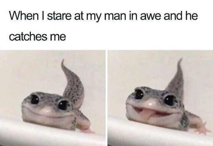 25 Lizard Memes to Honor World Lizard Day 18 Whan I stare - Lizard Memes