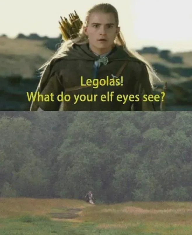 37 Best Monty Python Memes That Will Make You Say "A Blessing From The Lord" 25 What do your eyes see