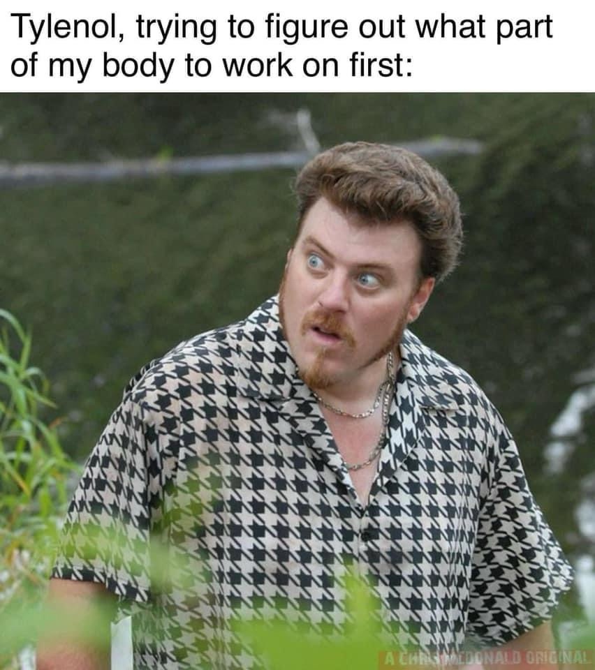 15 Memes That Are Like Chocolate for Your Funny Bone 12 What part of my body