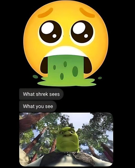 20 Memes That Mix Dark Humor with a Touch of Dirt 8 What shrek sees