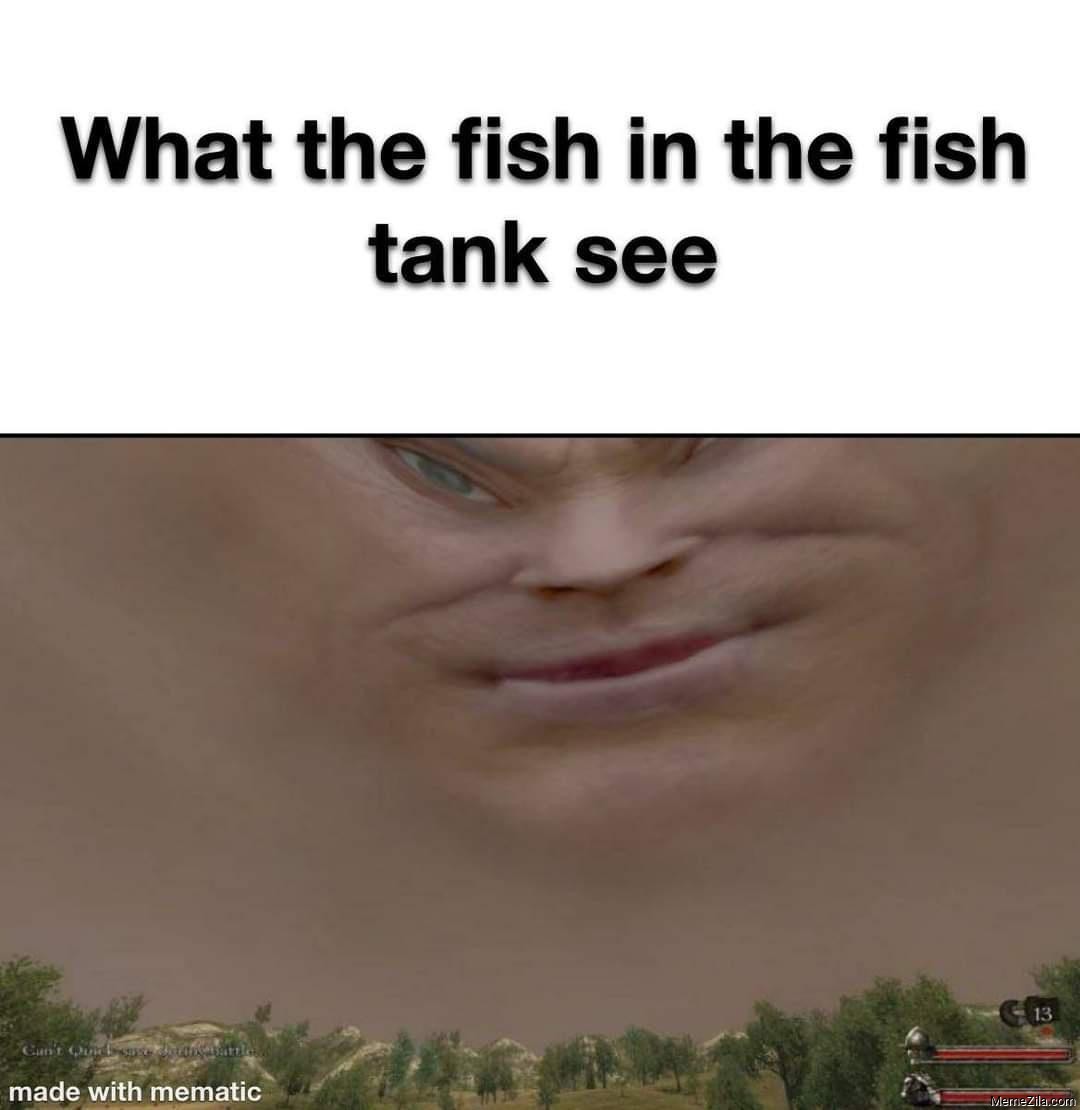 25 Fish Memes That Are the Catch of the Day 22 What the fish - Fish Memes