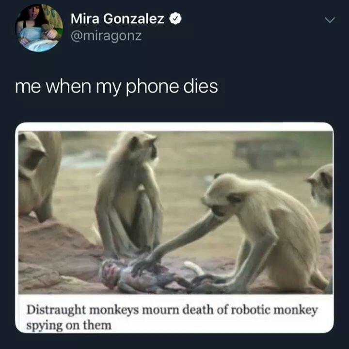 20 Memes So Rare, They Should Be in a Museum 20 Whats your next moveWhen my phone dies