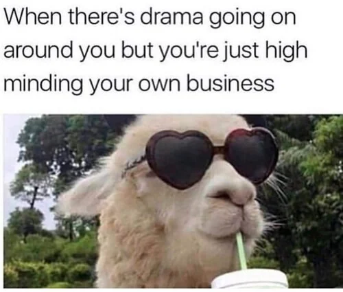 16 Memes About The Art Of Minding Your Own Business 17 When thres drama going