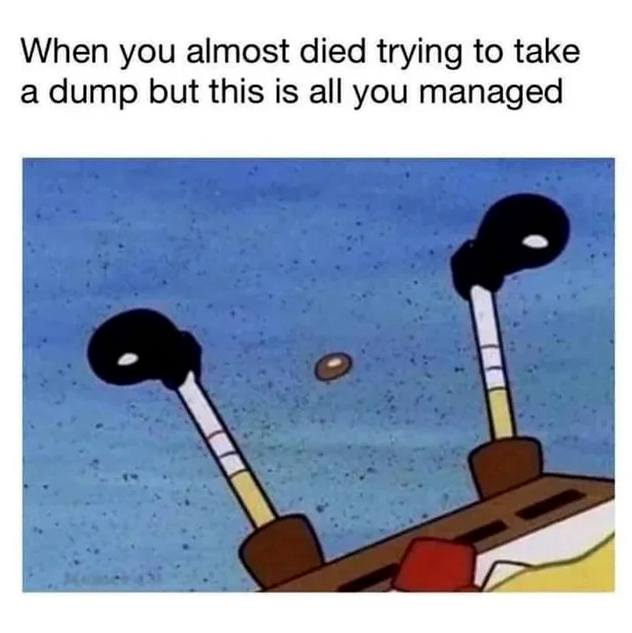 20 Lighthearted Memes That Won’t Leave You Short on Laughs 18 When you almost died - Lighthearted Memes