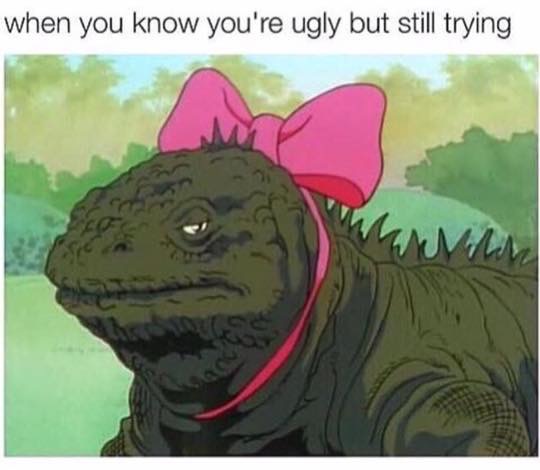 25 Lizard Memes to Honor World Lizard Day 20 When you know youre - Lizard Memes