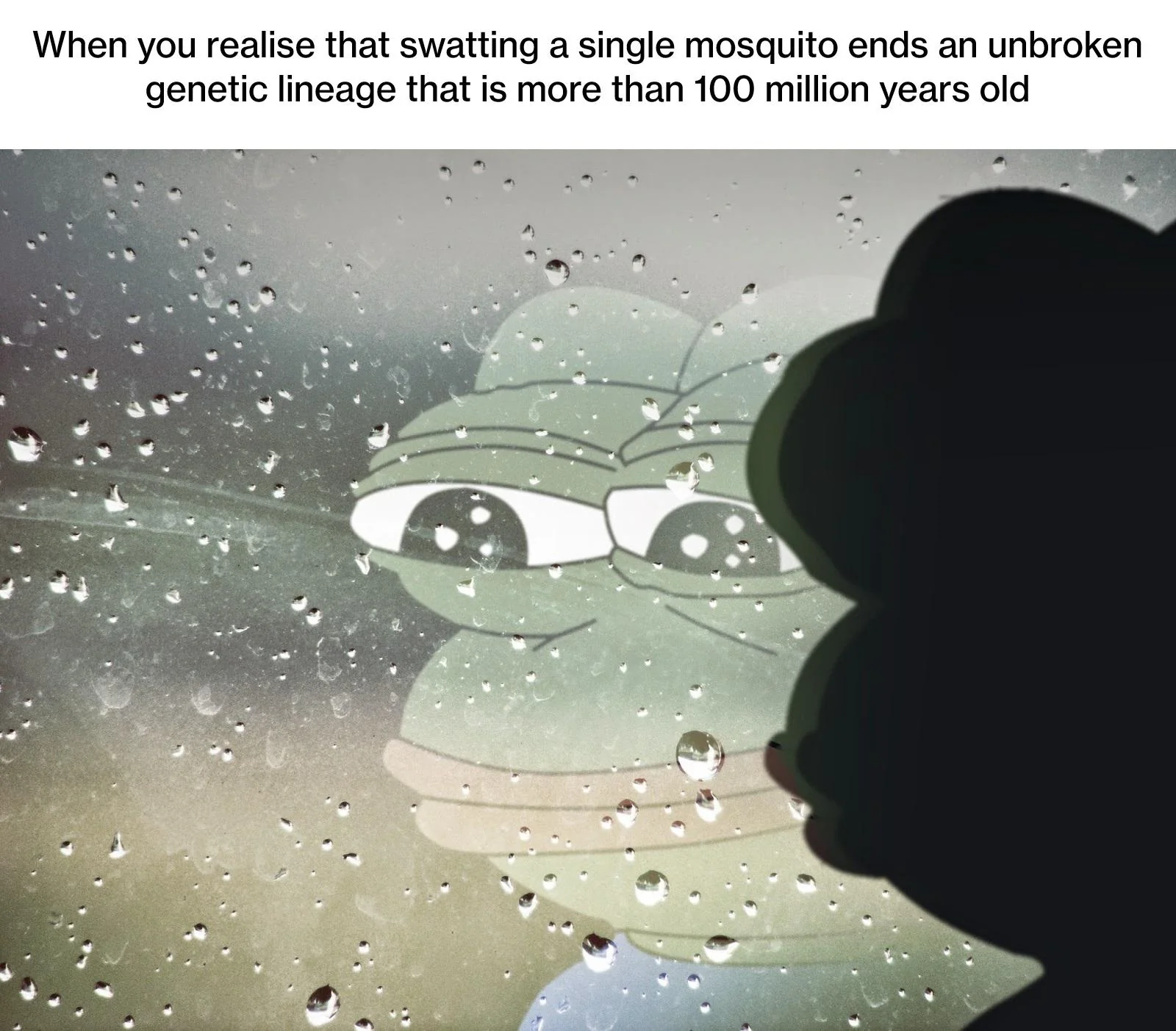 30 Mosquito Memes That Will Have You Itching with Laughter on World Mosquito Day 28 When you realise - Mosquito Memes