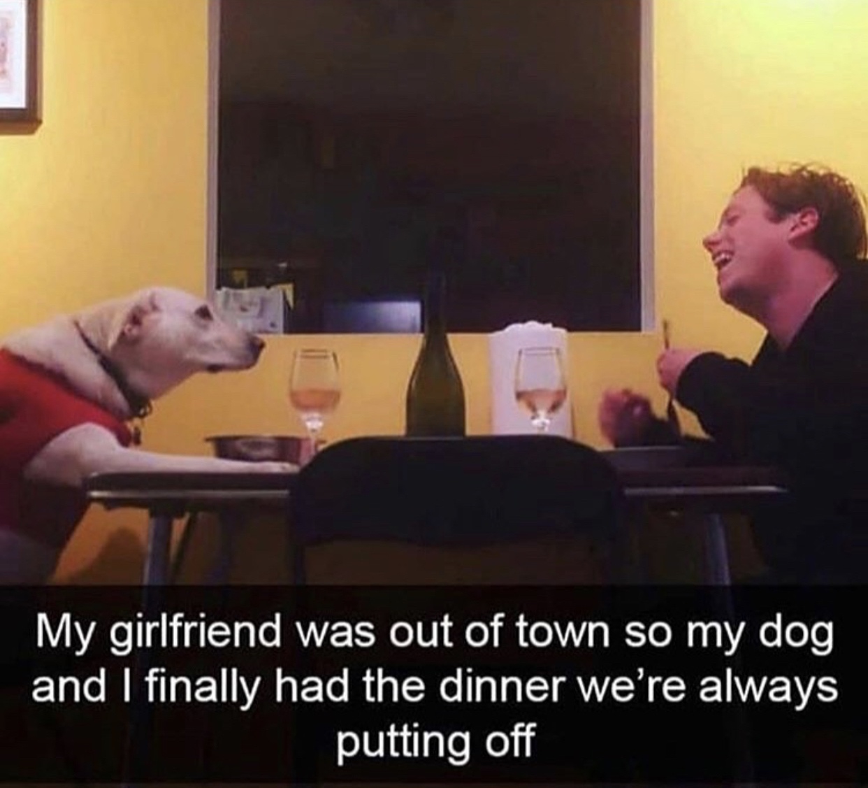 35 Dog Memes That Will Make You Laugh And Reduce Stress 17 When girlfriend is out meme - dog memes