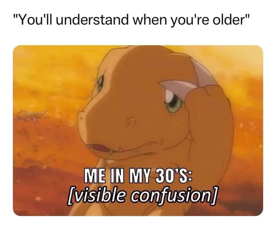 25 Memes That Will Never Disappoint 20 What its the apocalypse