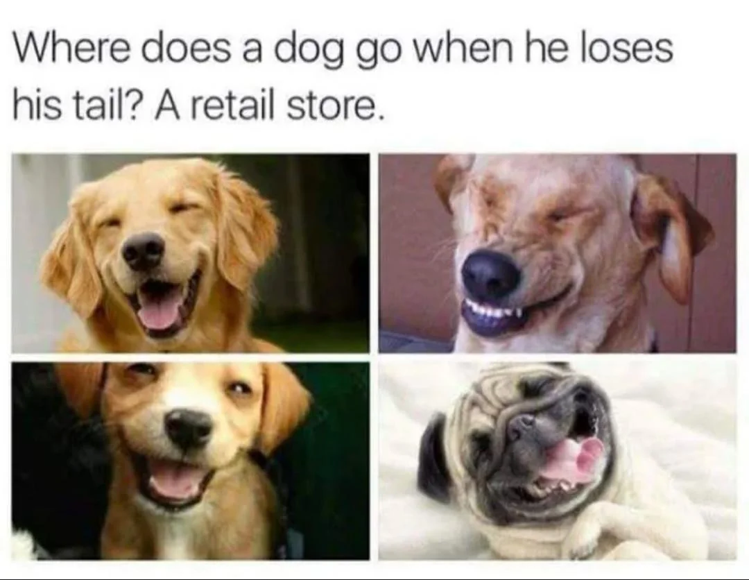 35 Puns That Are Even Fun-er Than A Good Burrito 20 Where does a dog go - puns