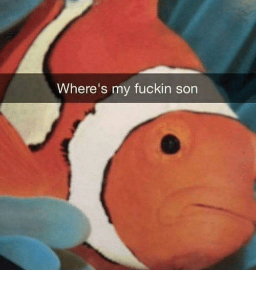 25 Fish Memes That Are the Catch of the Day 24 Wheres my son - Fish Memes