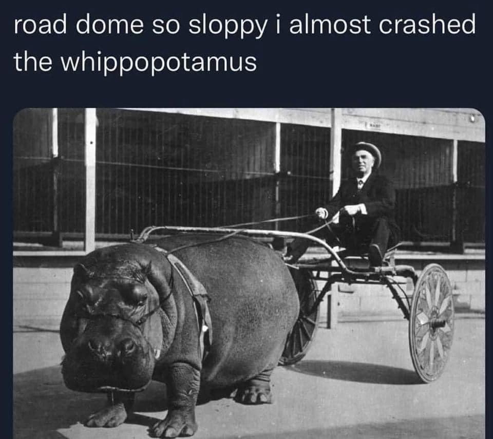 35 Wicked Wednesday Memes To Make Hump Day Better 20 Whippopotamus - wicked Wednesday memes