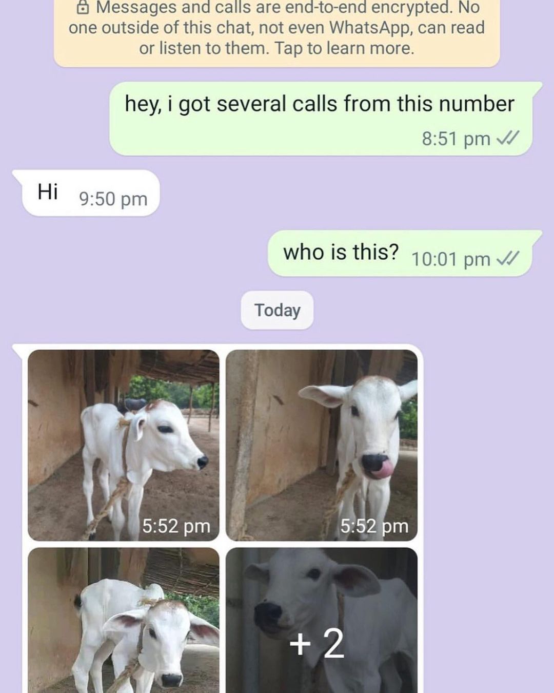 20 Notorious Animal Memes to Add Some Wild Humor to Your Day 19 Who is this - Notorious Animal Memes