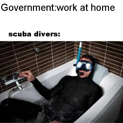 20 Scuba Memes to Dive Into on International Scuba Day 20 Work at home - Scuba Memes