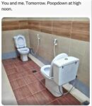 Memes That Are Like Chocolate for Your Funny Bone - FG