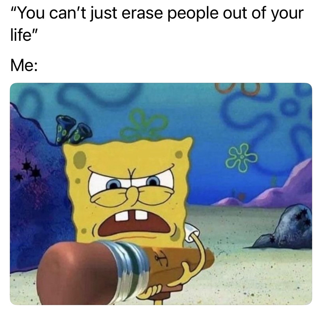 25 Memes That Are the Holy Grail of Humor 21 ant just erase people