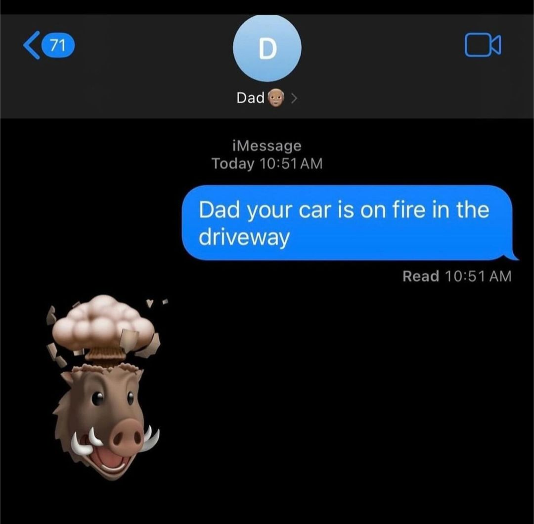 20 Memes That Defy All Known Laws of Humor 2 car is on fire