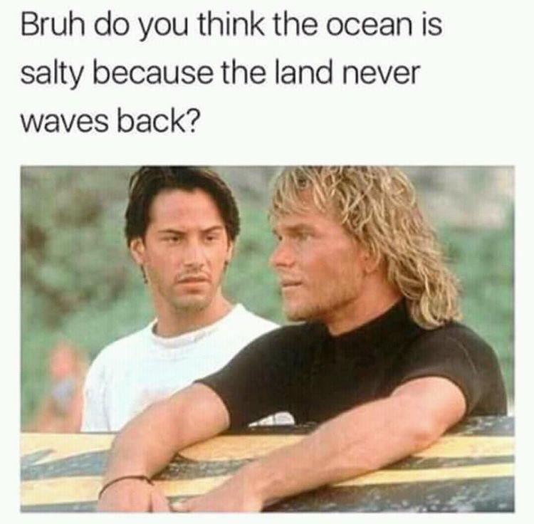 32 Corny Memes That You Cant Help But Laugh At 13 do you think ocean is salty