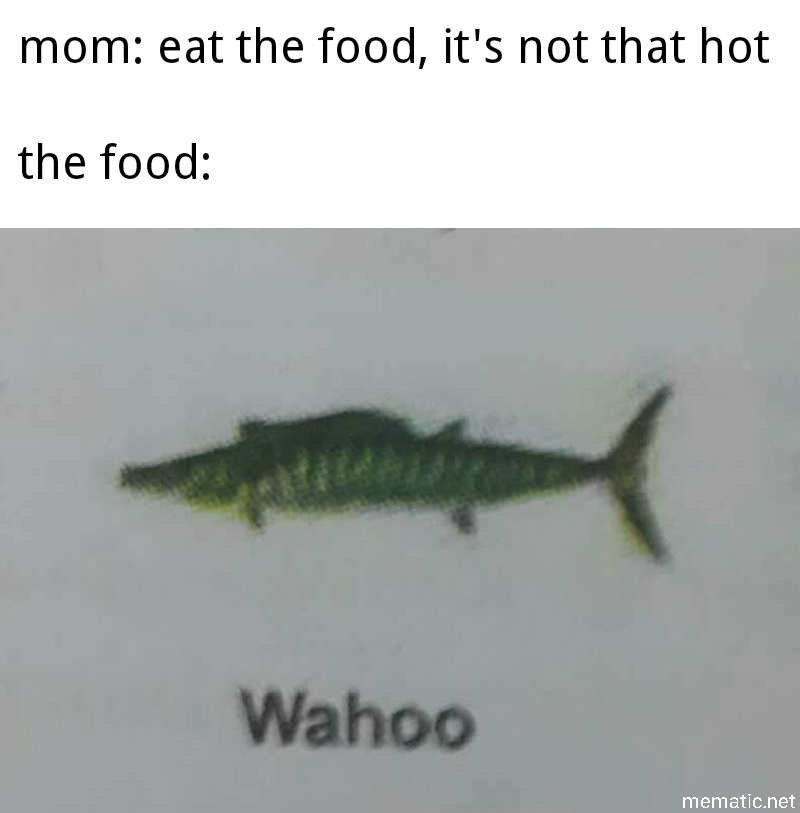 25 Fish Memes That Are the Catch of the Day 4 eat the food - Fish Memes