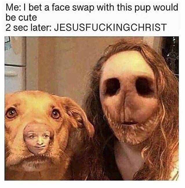 25 Memes That Are the Holy Grail of Humor 5 faceswap with dog