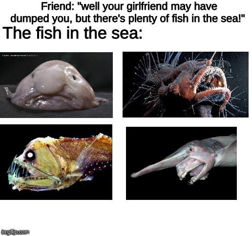 25 Fish Memes That Are the Catch of the Day 6 fish in the sea - Fish Memes