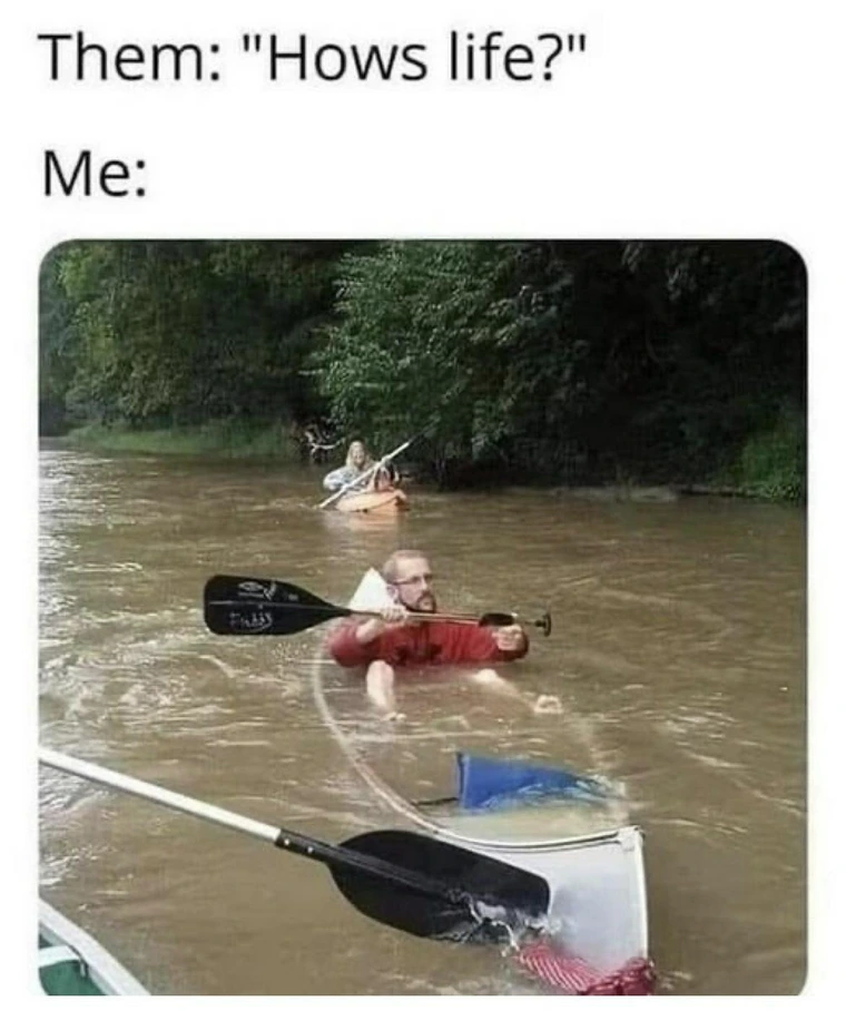 25 Memes That Will Make You Smile If You're Having A Bad Day 2 hows life meme