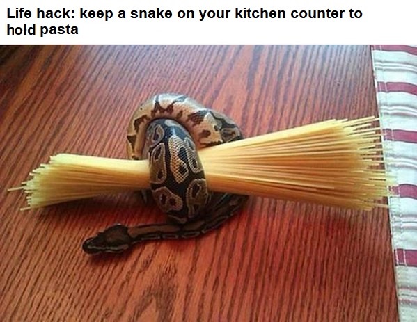25 Memes That Are the Holy Grail of Humor 13 life hack