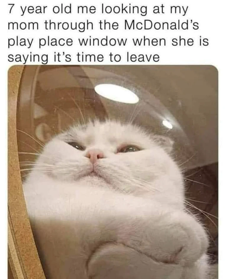 35 Reasons Why You Need To Quit Your Job And Become A Cat 9 mcdonalds pay place - quit your job memes